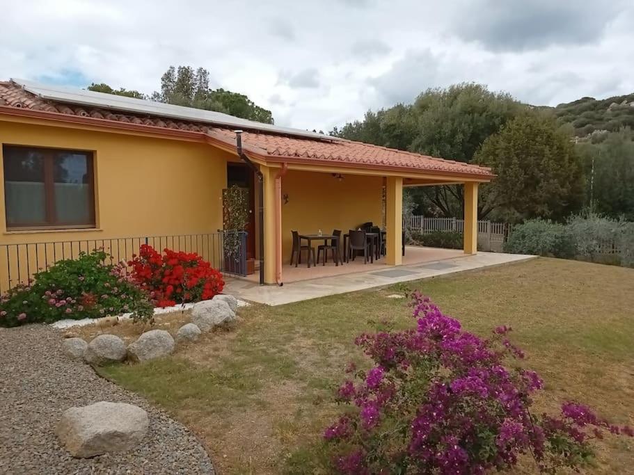 Vakantiehuis Bisu La Casa Dei Sogni Iun R8622 *